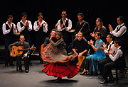 Bolero Flamenco vom 3.-13.08.2006 im Prinzregententheater (Foto: Ingrid Grossmann))